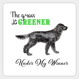 Dog Lover funny saying with Gordon Setter illustration Magnet